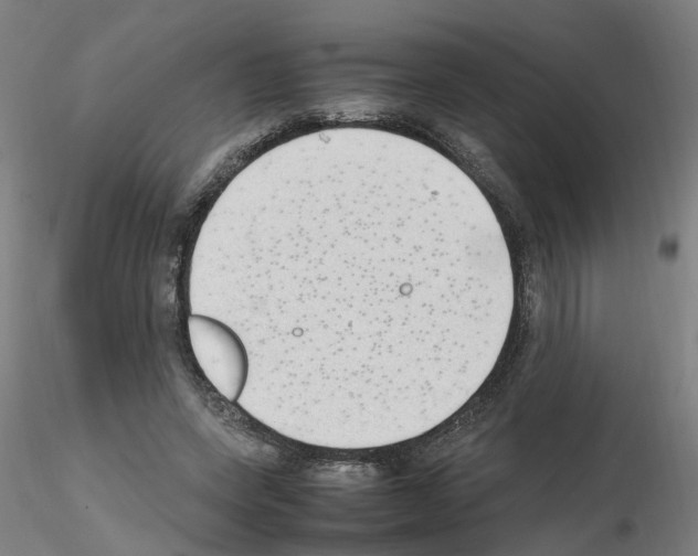 X0000115620543200912221230