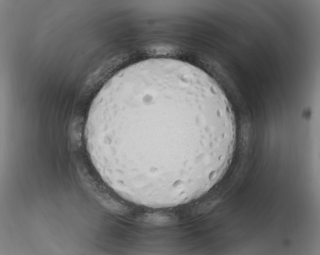X0000115620545200912221230