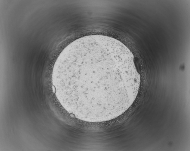 X0000115620546200912221230