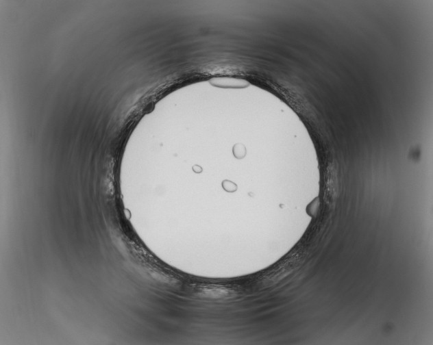 X0000115620547200912221230