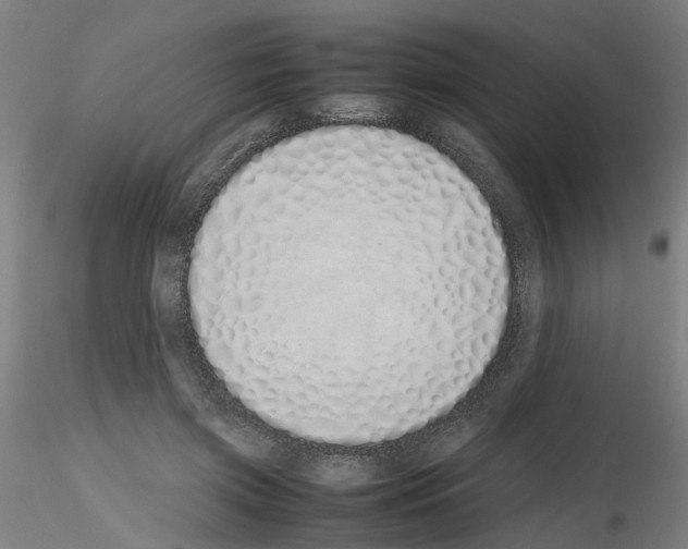 X0000115620549200912221230