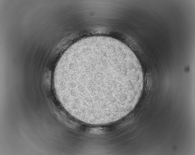 X0000115620550200912221230