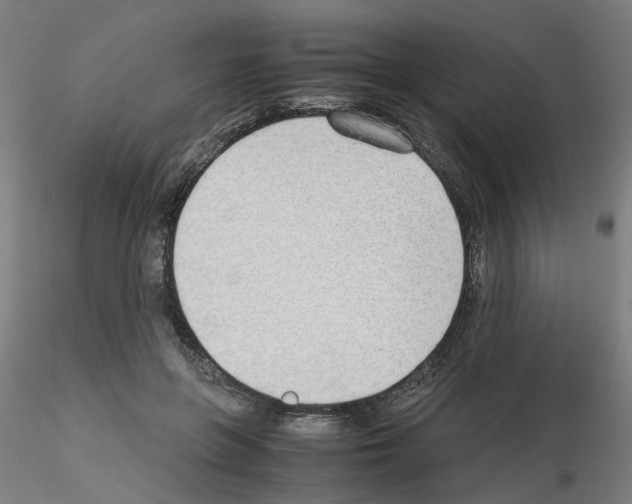 X0000115620551200912221230