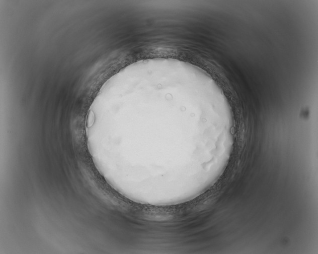 X0000115620553200912221230