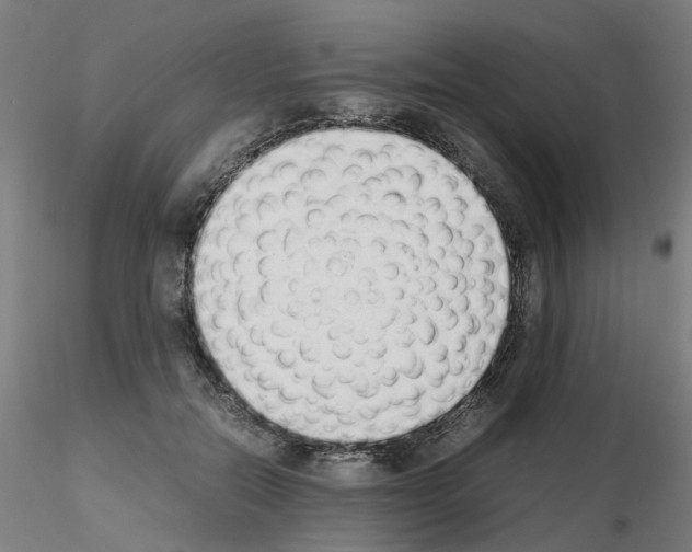X0000115620554200912221230