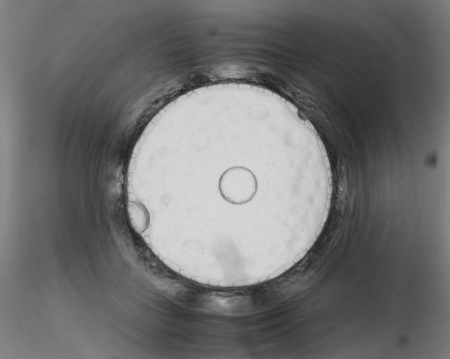X0000115620555200912221230