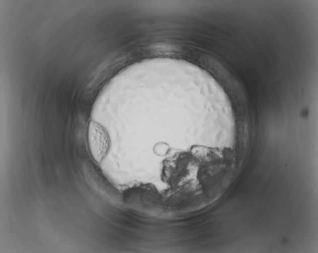 X0000115620557200912221230