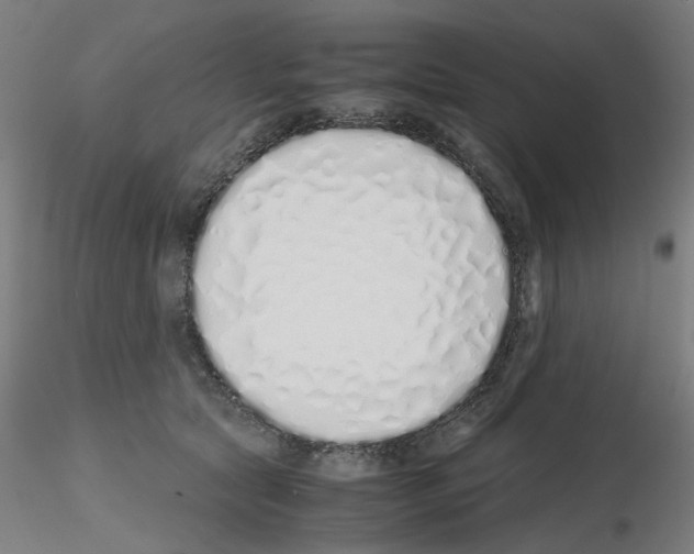 X0000115620561200912221230