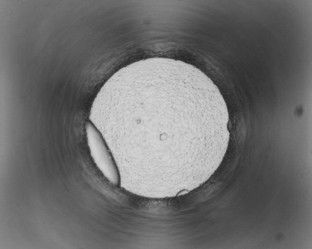 X0000115620562200912221230