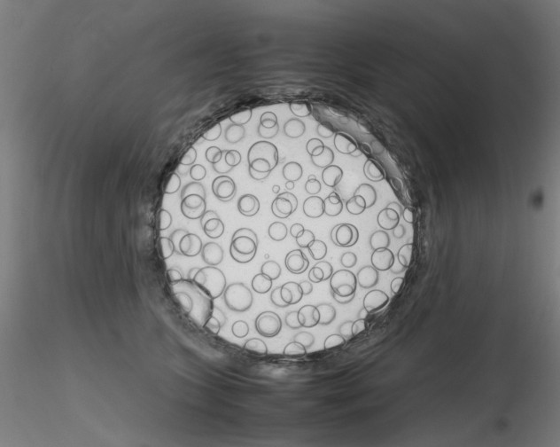 X0000115620563200912221230