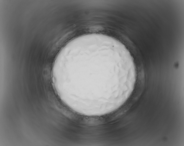 X0000115620565200912221230