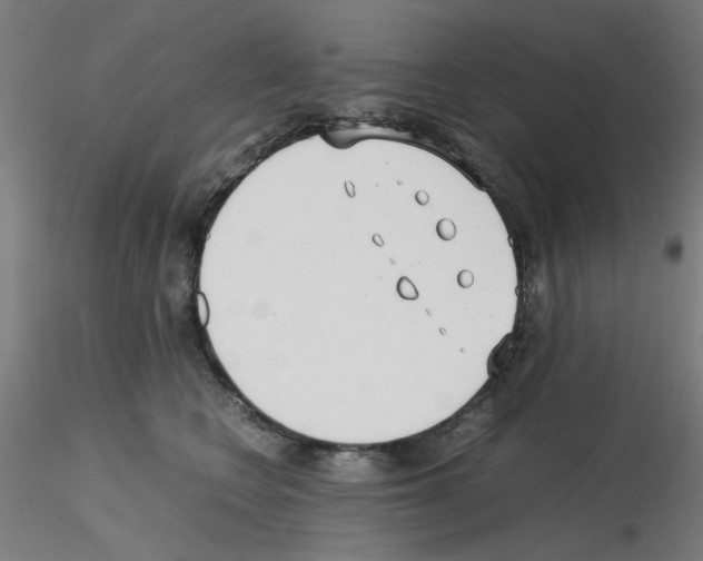 X0000115620566200912221230