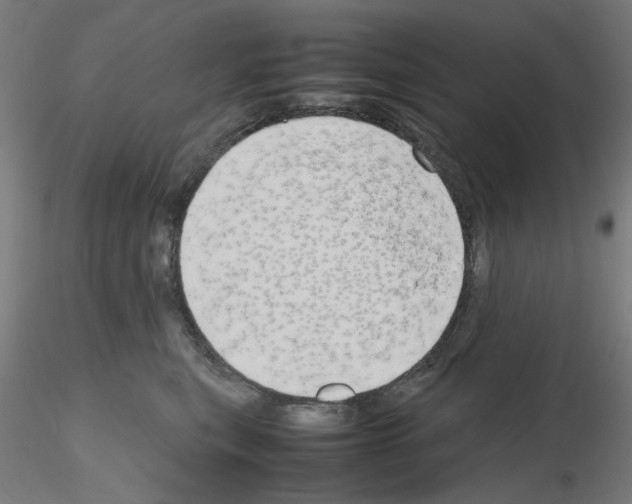 X0000115620567200912221230