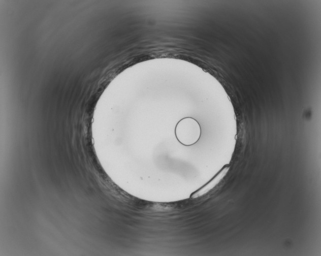 X0000115620570200912221230