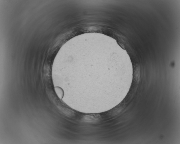 X0000115620571200912221230