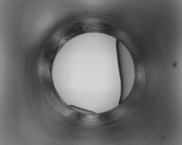 X0000115620573200912221231