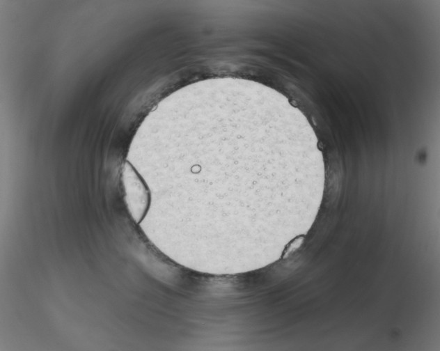 X0000115620574200912221231