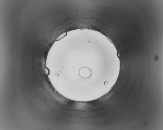 X0000115620575200912221231