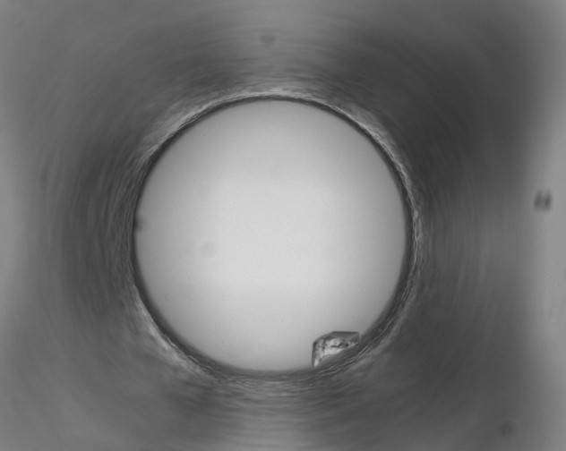 X0000115620577200912221230
