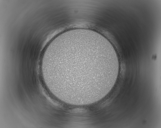 X0000115620578200912221230