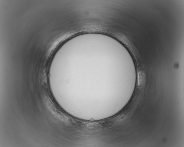 X0000115620579200912221230