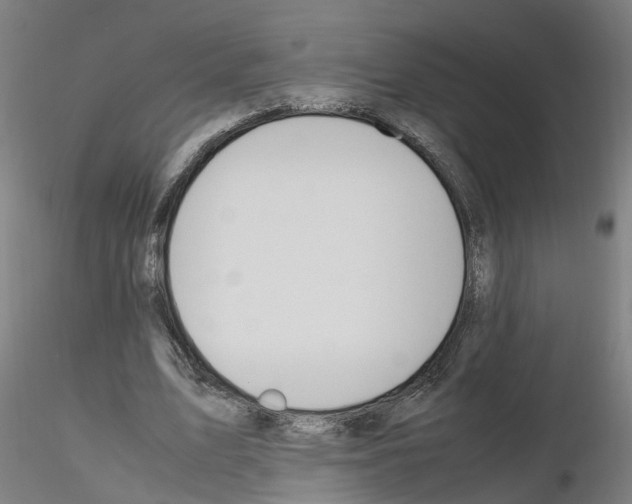 X0000115620583200912221230