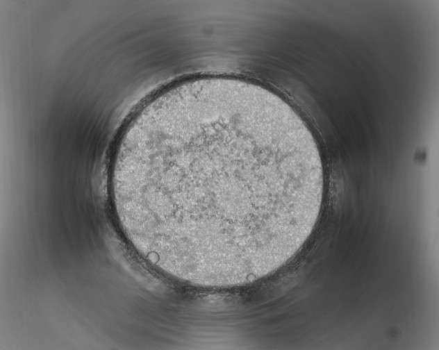 X0000115620584200912221230