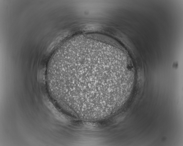 X0000115620585200912221230