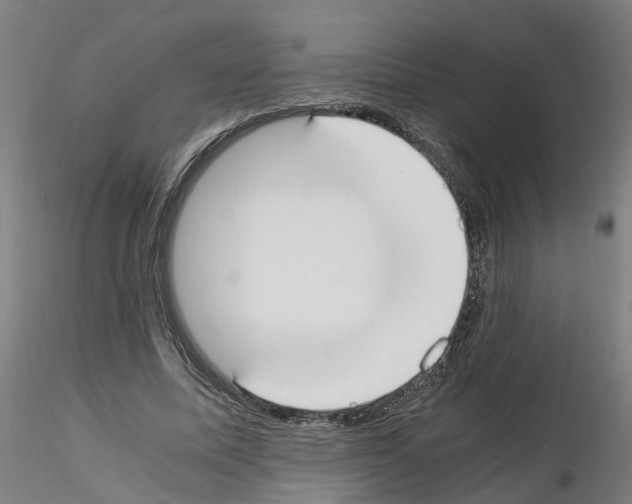 X0000115620587200912221230