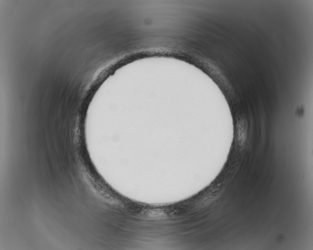 X0000115620588200912221230