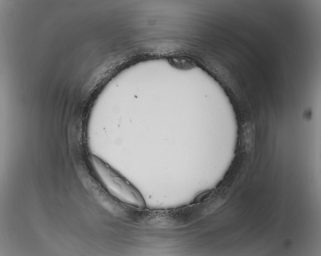 X0000115620589200912221230