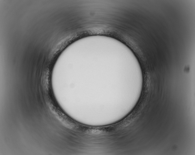 X0000115620590200912221230