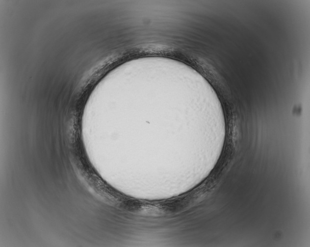 X0000115620591200912221230