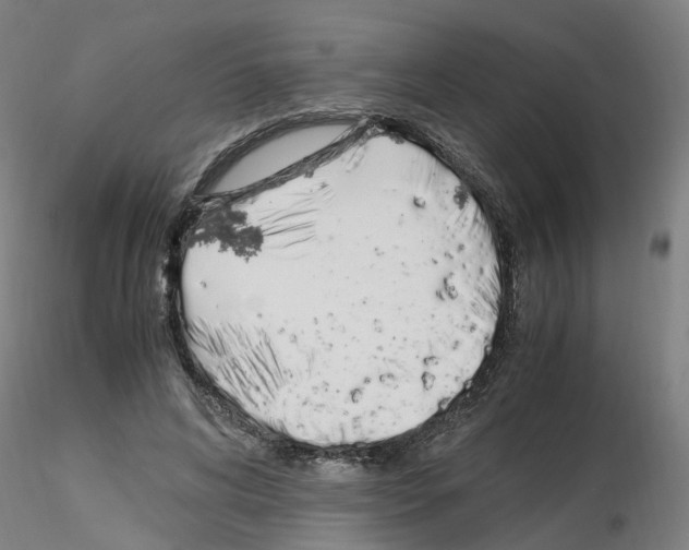 X0000115620592200912221230