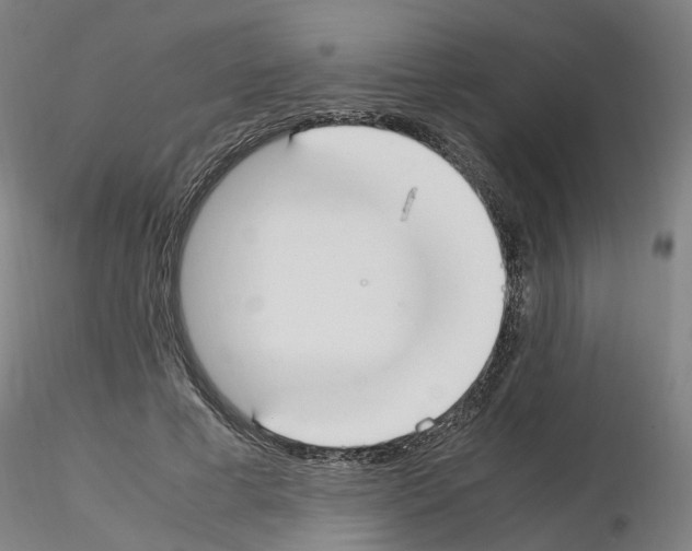 X0000115620593200912221230