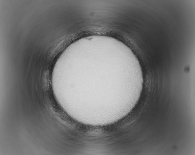 X0000115620594200912221230
