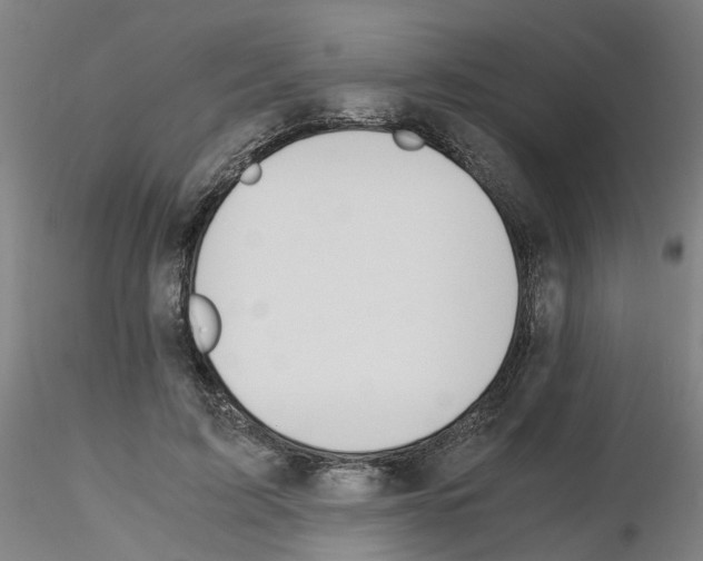 X0000115620595200912221230