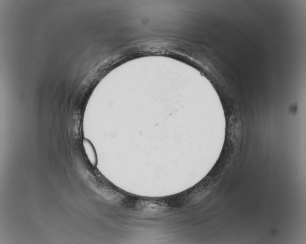 X0000115620597200912221230