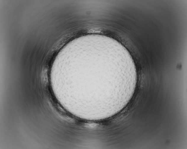 X0000115620598200912221230