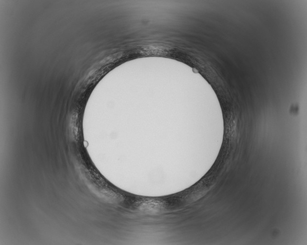 X0000115620599200912221230