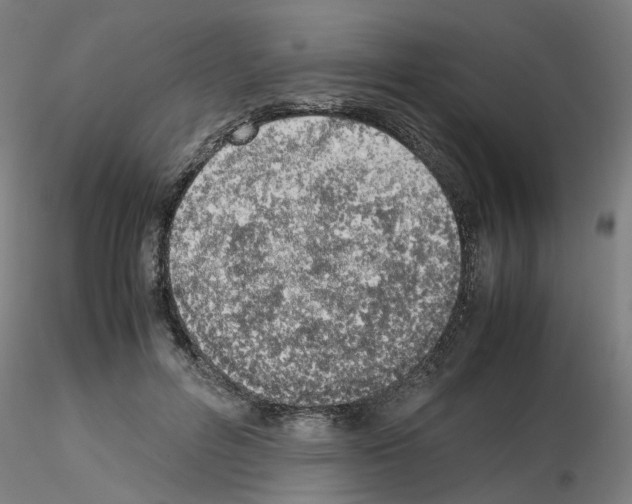 X0000115620600200912221230