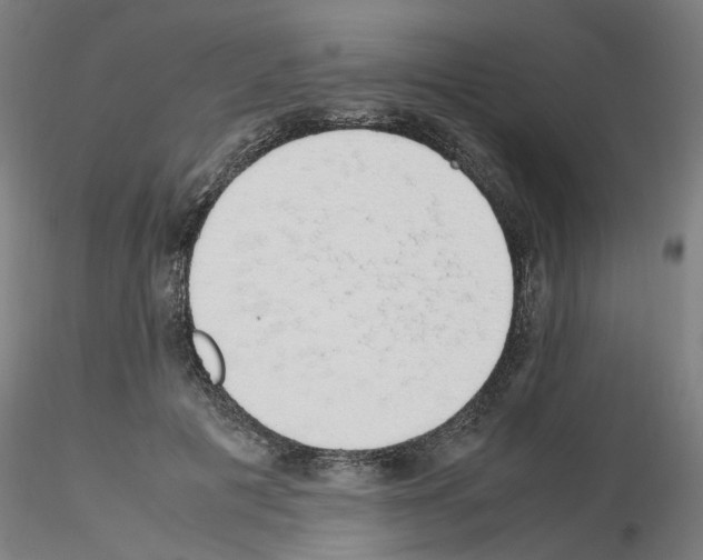 X0000115620601200912221230