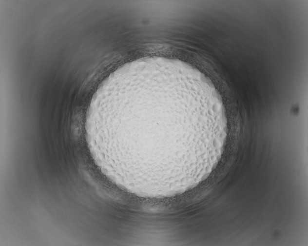 X0000115620602200912221230