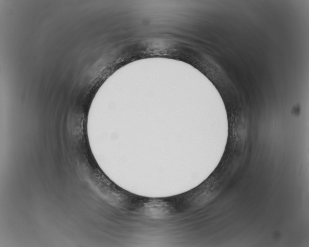 X0000115620603200912221230