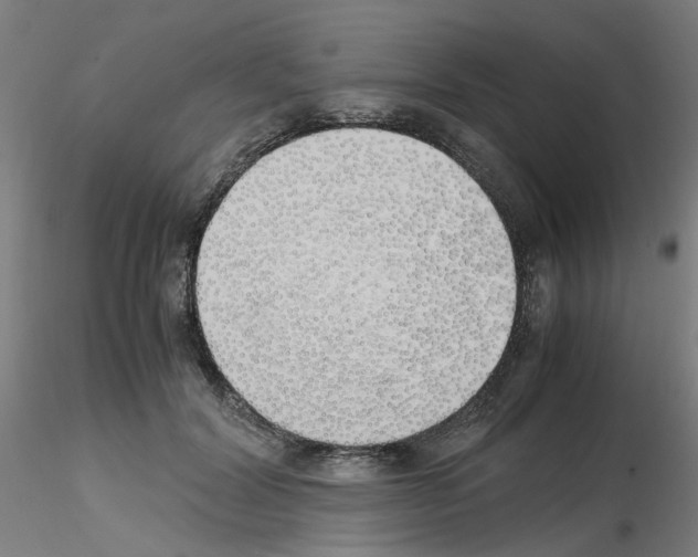 X0000115620604200912221230
