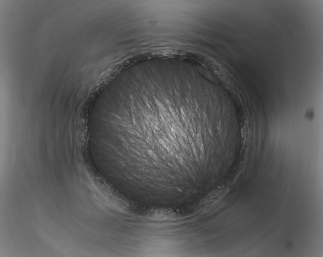 X0000115620605200912221230