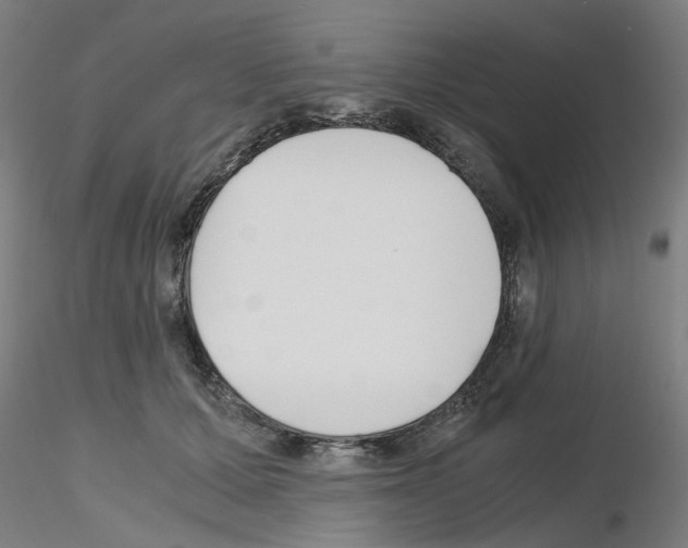 X0000115620607200912221229