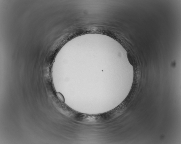 X0000115620611200912221229