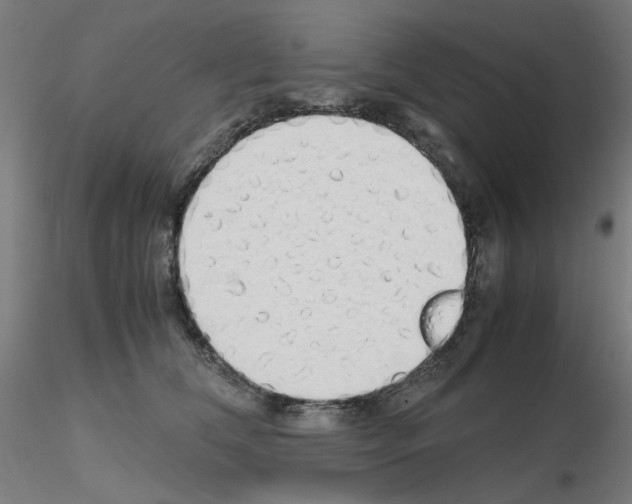 X0000115620612200912221229