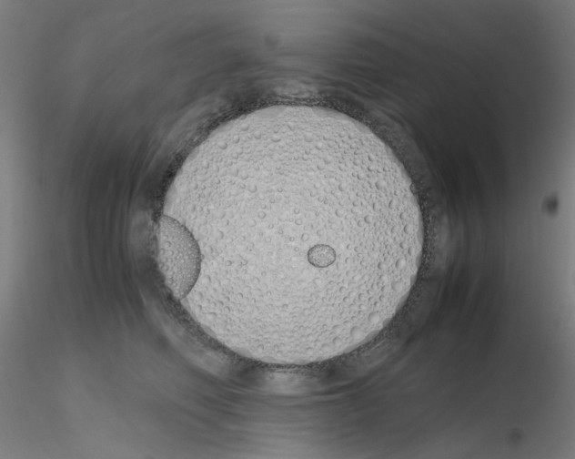 X0000115620614200912221229